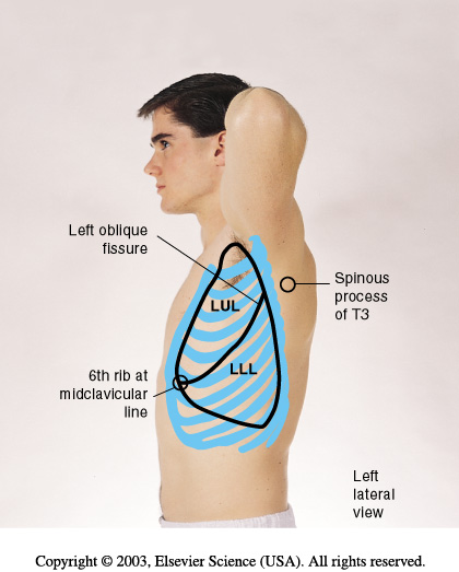 asbestos floor tile removal nj